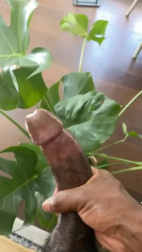 Doesn’t get much better