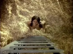 Uschi Digard - Supervixens (1975)