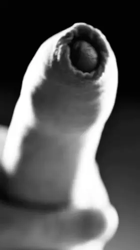 A Small Slightly Ruined Orgasm For Your Enjoyment! 🤤