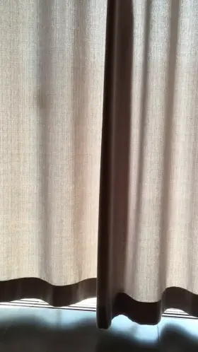 day to shake the ass 😜