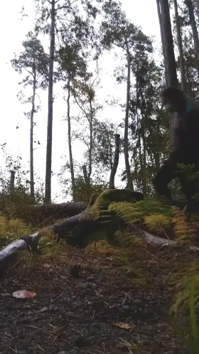 I really need a friend that will go on long walks with me in the woods and support me in my... shenanigans.