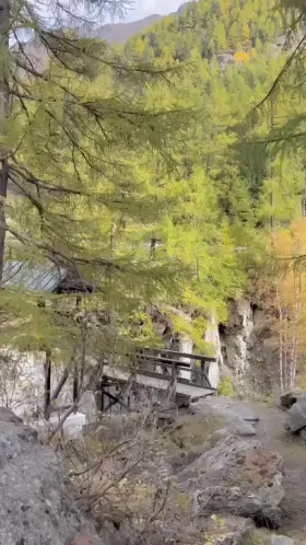 Mid-hike suck in the forest 😇