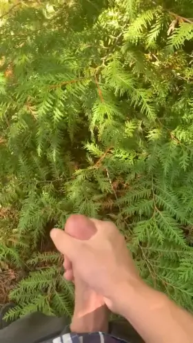 Throwing ropes in the forest 😉