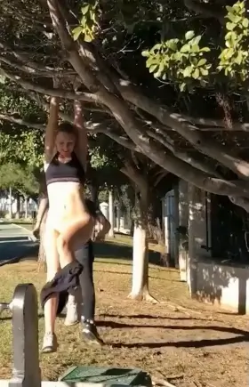 Hanging from a tree