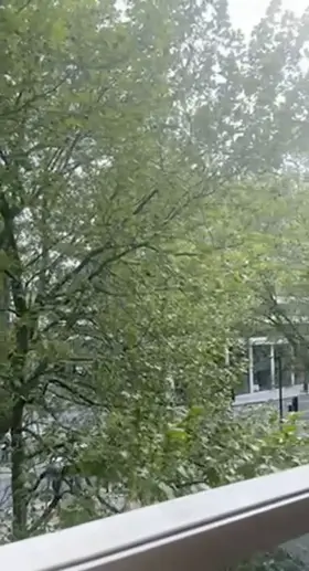 enjoying some sunshine while giving the offices across the street a view