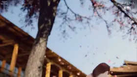 D.va creampied (Sound Update) (Ent_duke, Volkor) [Overwatch]