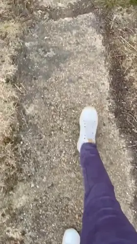 Need a walking buddy