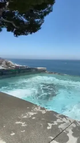 Submerge yourself in porn. Become porn. Find a mommy who can show you the light. Be like Gabbie. Worship her. ❤️❤️😍