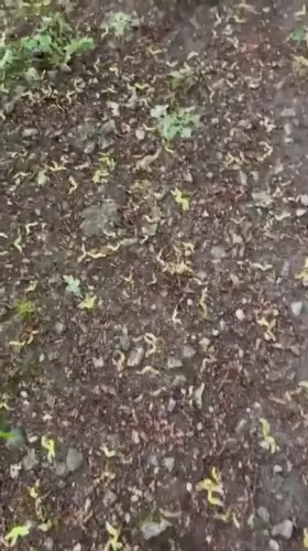 Literally my first boob flash 🙈❤️