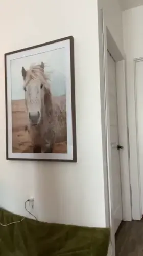 Yes, you did just get flashed.