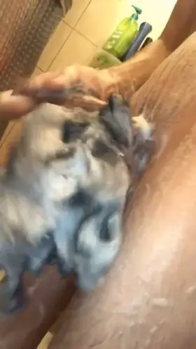 Balls GIF by hornyjay420