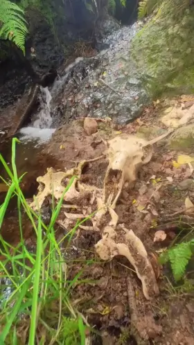 A slippery slope (oc)