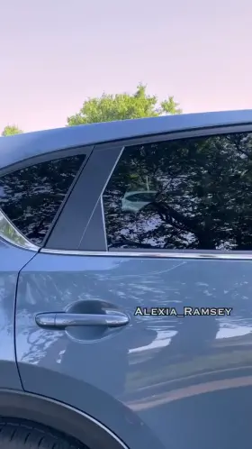 Would you let me ride up front with you or cuffed in the back like this😏