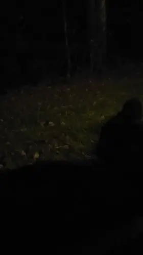 Pissing hard in the grocery store lot and in my pants ☺