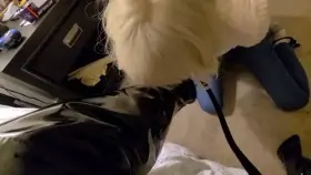 [OC] [CD] Lick my boots just like my slave