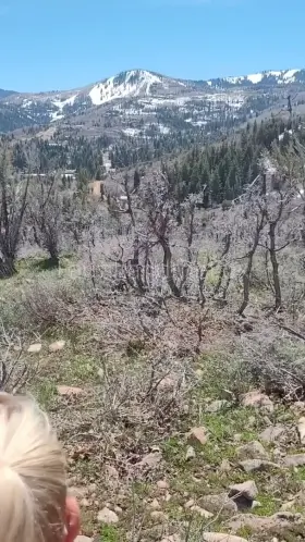 A nice fucking view 😘