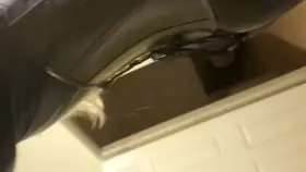 [OC] [CD] Lick my boots slave