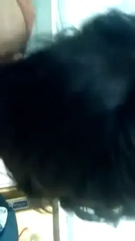 Miminha do Condominio Canto Belo mamando o Romulo