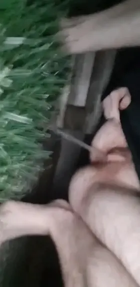 watering the grass (ftm he/him)