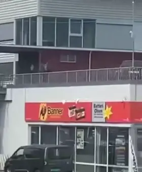 Animal commits suicide by jumping