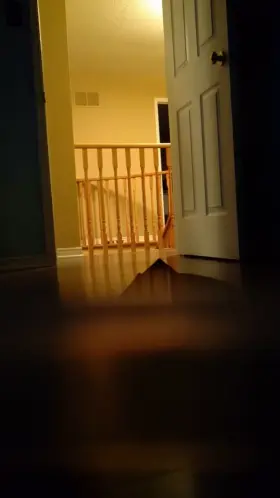 Can't take my eyes off the booty