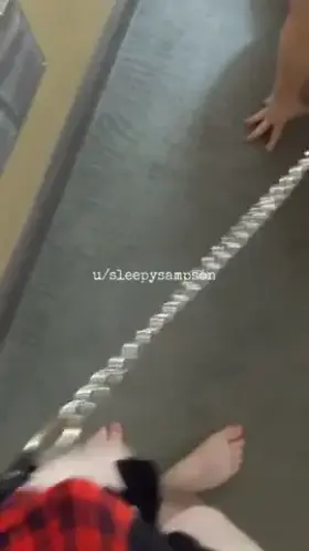 Where are we going master? [Oc]