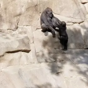 Alex Blake Alex Chance Alex Coal Alex De La Flor Porn GIF by thebrightlord