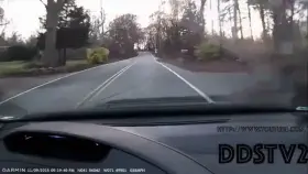 HMFT after I speed in a forest backroad crashing into a tree