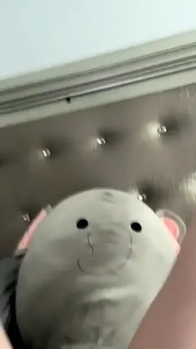 Day 10 of asking if i am allowed to cum