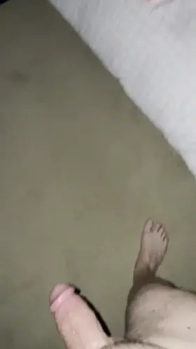 He knows better than to try this. If he’s not careful he’ll end up in a cage.