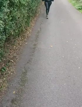 For those who asked for videos and photos outdoors. I hope you like it, I have had a lot of fun. We will repeat.