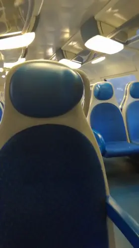 Public Cumshot On A Train (uncut Cock)
