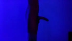 BBC Big Dick Cock Worship Porn GIF by prettydickchris0 what u think? Prettydickchris on k!k