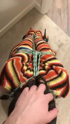 The sounds of throat barrier destruction