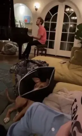 Billie Eilish being drunk off fame