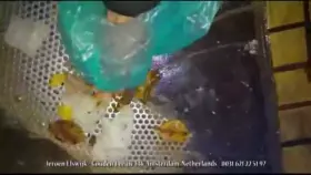 Have a goodnight beautiful community 🥰