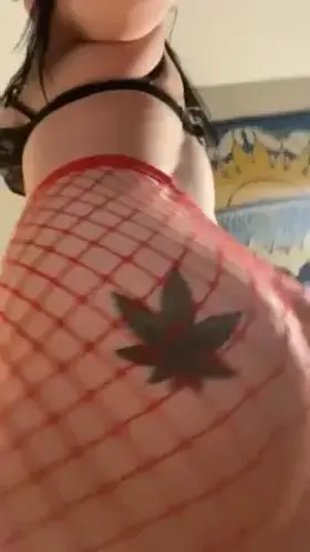 Let me put this pussy on you