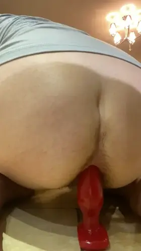 Who wants to test what else i can swallow with my ass?
