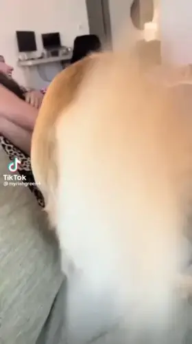 Thotty stuff at home hahah