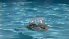 Jennifer Garner - Alias