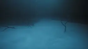 Natural hydrogen sulfide layer 30 meters below the surface of a Cenote in Tulum. It's created by gases that have leaked out of decomposing trees and leaves that fell from the jungle