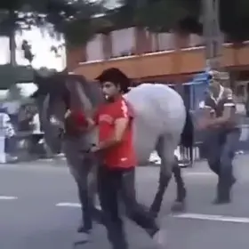 HMFT after I spank this horse