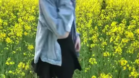 Flashing in a field of yellow flowers