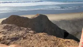 I wonder if anybody saw?!