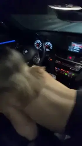 Only 18, but I already give Better road head than your wife 😇