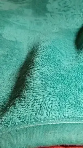 My teenage monster cock has come to ask if you'll suck it. Up if you will.