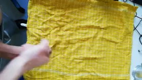 Anyone looking to get bred?