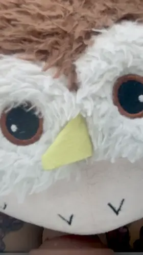 My cute owl says hi 🤪