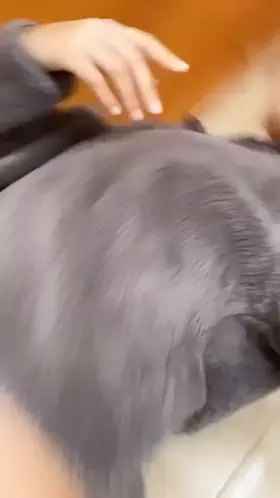 Say hi if you like my yoga pants!