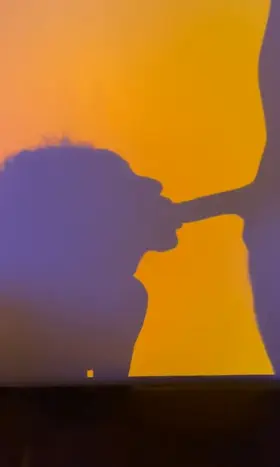 Esthetic